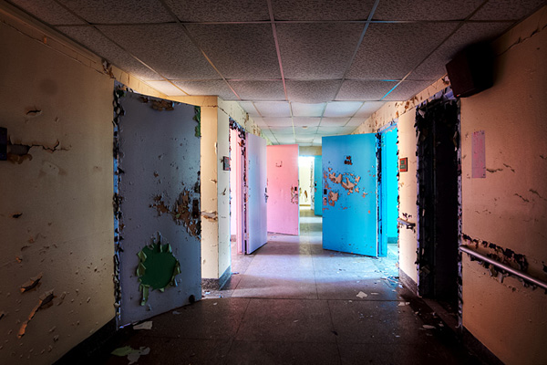 rick-harris-cat-skills Cat Skills, Architectural Photographer - Rick Harris