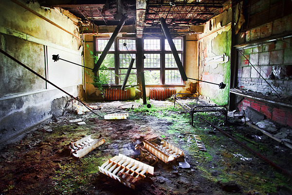 rick-harris-cat-skills Cat Skills, Architectural Photographer - Rick Harris