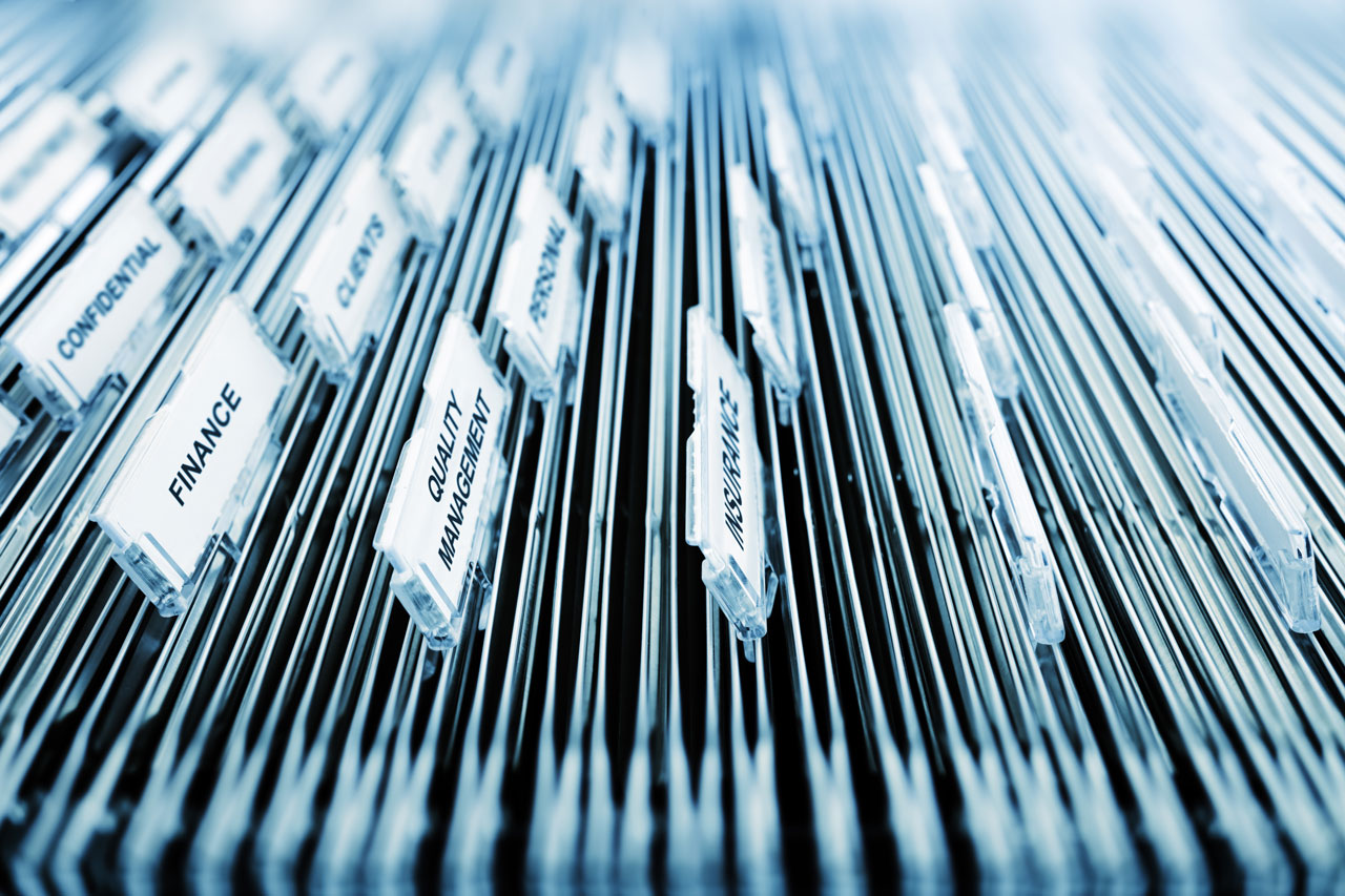 Taxonomy in a structured filing system.