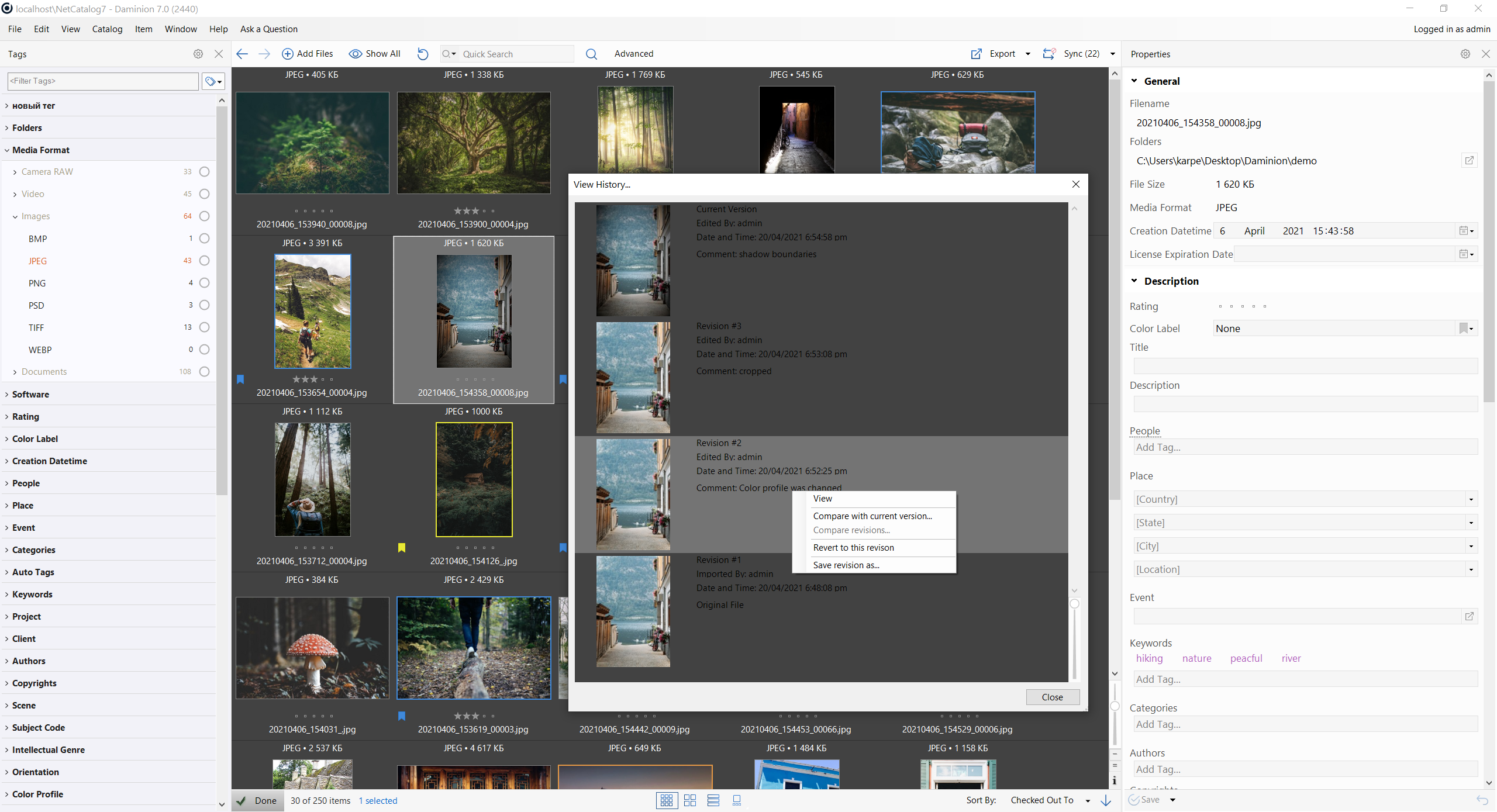 DAM working with files