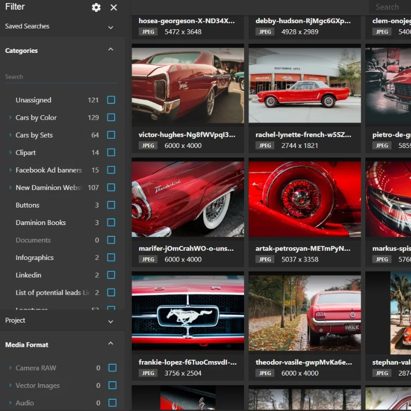 Web Client Daminion