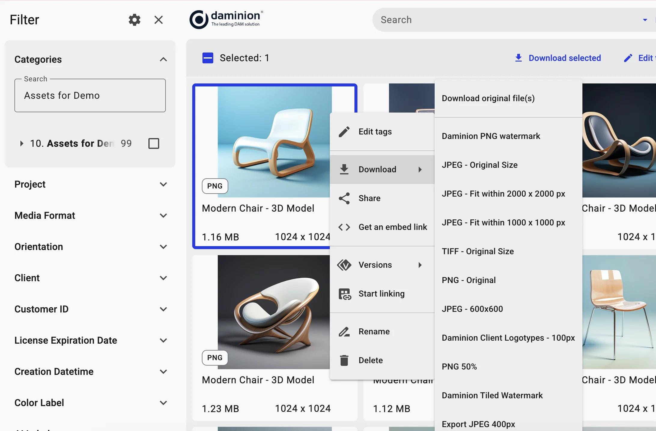 Daminion Web-Access catalogue view