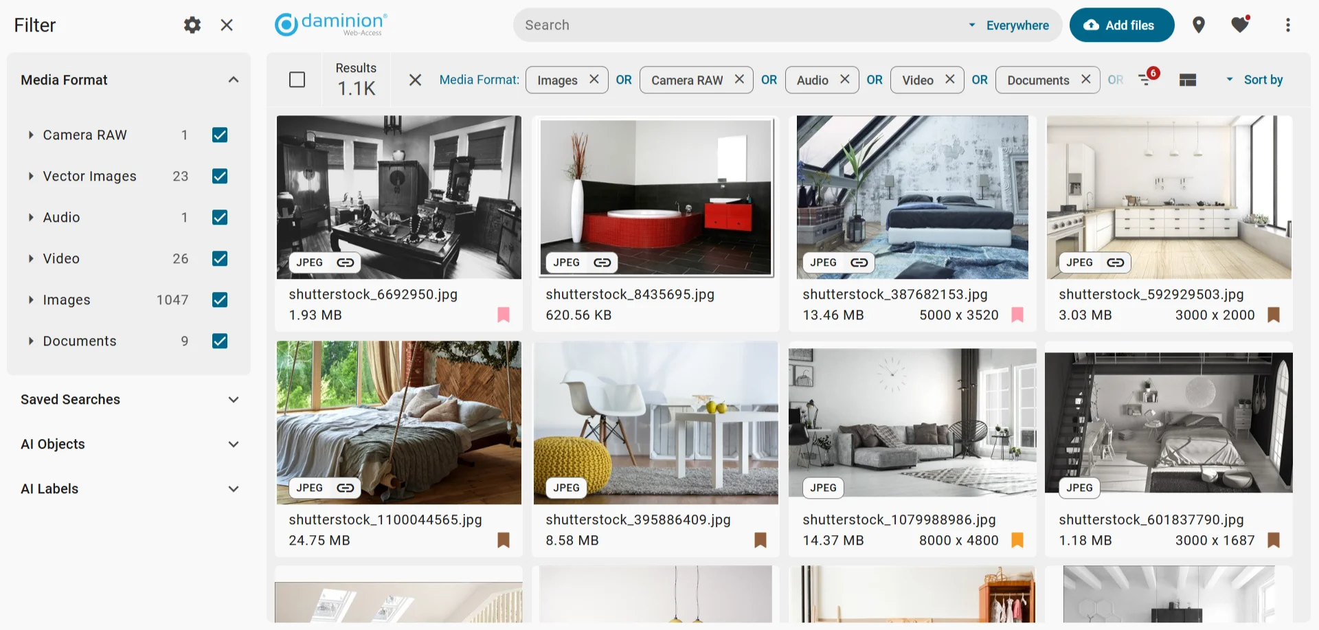 Daminion Web-Access showing 1,100 assets filtered by media format — images, camera RAW, video, audio and documents