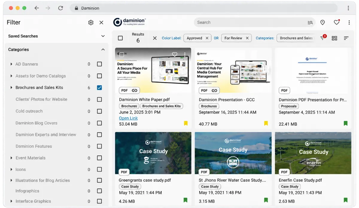 Daminion asset library with search, collections, and previews of images, presentations, and video